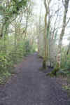 76-path.jpg (980798 bytes)