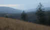 31.jpg (158663 bytes)