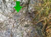 12-fs-arrow.jpg (1023795 bytes)