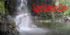 73-sgwd-dive.jpg (319500 bytes)
