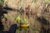 49-20220326-melon-boat.jpg (510270 bytes)