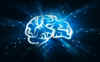 03-neuro.jpg (185434 bytes)