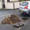 81-manhole-straw.jpg (398975 bytes)