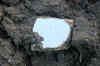 00y.jpg (281530 bytes)