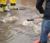 76-WP-flood-1.jpg (265109 bytes)