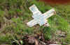 98-20200702A-ss-fan-llia02.jpg (628335 bytes)