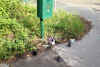 02-20200608A-bins-empty02.jpg (787873 bytes)