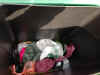 03-20200608A-bins-empty01.jpg (307376 bytes)