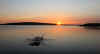 46-20200624-IM-sr-lyff-dive.jpg (55892 bytes)