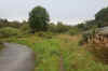 97-path-to-langy.jpg (426321 bytes)