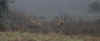 03.jpg (159929 bytes)