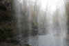 29-looking-out.jpg (359680 bytes)