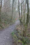 38-path-uphill.jpg (510772 bytes)