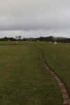 60-2019-12--07-path-field.jpg (222883 bytes)