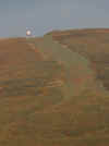 81-runner.jpg (194382 bytes)