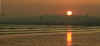 04-seagull-sun-med.jpg (114599 bytes)