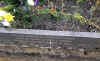23.jpg (652938 bytes)