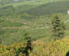 84.jpg (385514 bytes)