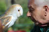 22-malcolm-barn-owl.jpg (169602 bytes)