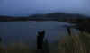 24-2018-12-02-brunel-dock.jpg (133692 bytes)