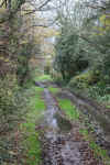 00y-bridleway.jpg (668720 bytes)