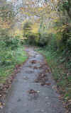 25-bike-path.jpg (513798 bytes)