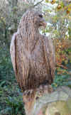 27-allens-view09-eagle2.jpg (366926 bytes)