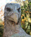 28-allens-view08-eagle1.jpg (216625 bytes)