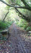 40-coast-path01.jpg (561161 bytes)