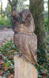 42-allens-view02-owl.jpg (250229 bytes)