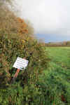 45-battle-sign04.jpg (504068 bytes)