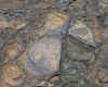 74-2018-11-06-iron-nodules.jpg (319871 bytes)