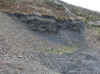75-2018-11-06-coal-seam1.jpg (657434 bytes)