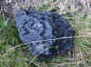 76-2018-11-06-coal02b.jpg (333310 bytes)
