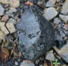 78-2018-11-06-coal01.jpg (289060 bytes)