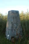62-mynydd-margam-trig.jpg (382367 bytes)