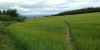 39-path-field.jpg (236432 bytes)