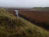 31-afan-cynffig.jpg (343876 bytes)