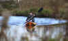46-20101022-dean-paddler.jpg (253724 bytes)