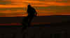 90-pw.jpg (85632 bytes)