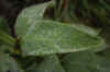 64.jpg (84055 bytes)