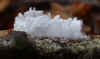 03-hair-ice-05.jpg (143252 bytes)