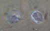 07-20150708-jf1.jpg (448357 bytes)