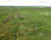 19-dyke-stile.jpg (189560 bytes)