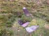 28-gh-stone.jpg (328451 bytes)