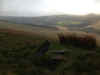 29-gh-stone-and-valley.jpg (116737 bytes)