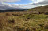 85-map-cairn-2.jpg (192787 bytes)