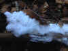 76-hair-ice.jpg (121110 bytes)
