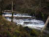96-cg-cascades.jpg (269157 bytes)