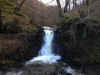 99-cg-info-1-falls.jpg (209356 bytes)